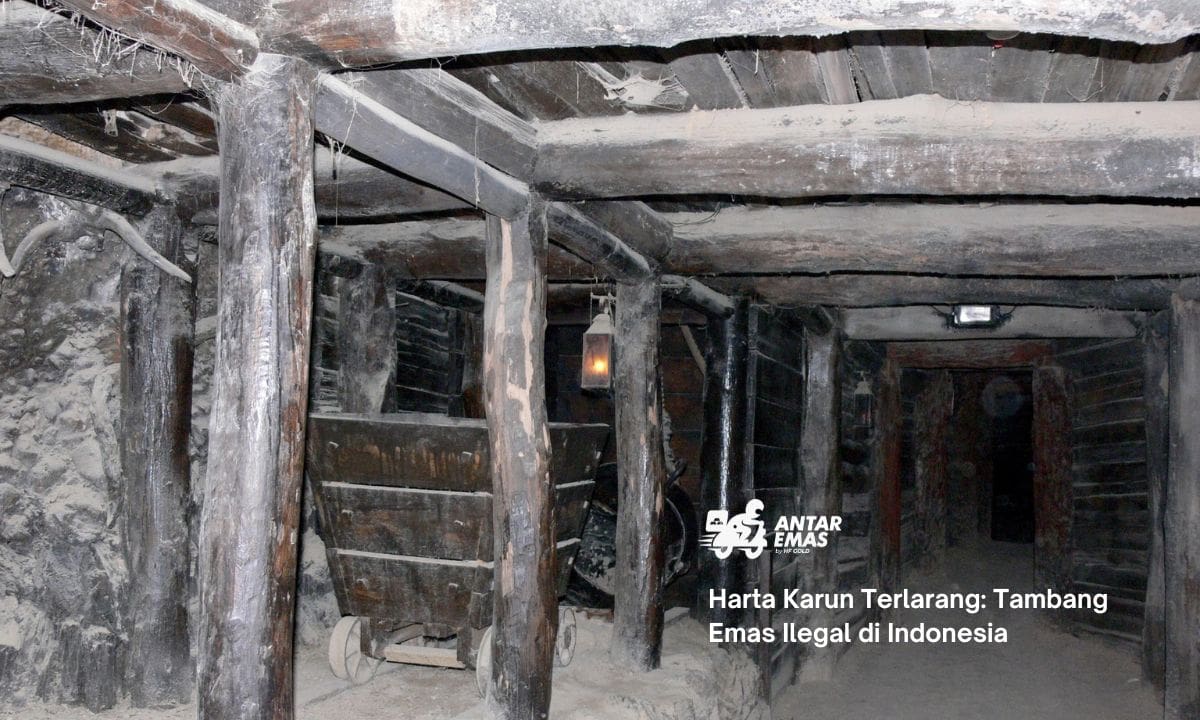 Harta Karun Terlarang: Tambang Emas Ilegal di Indonesia